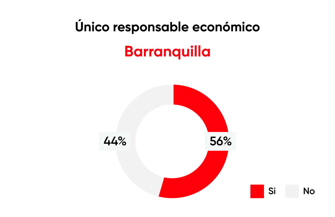unico responsable economico