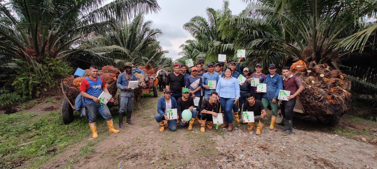 Plantaciones Unipalma de los Llanos S.A.